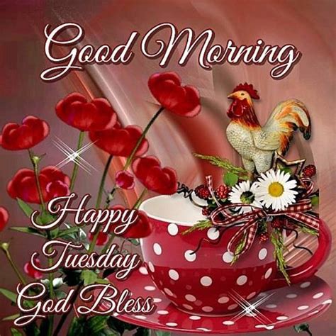 Good morning happy tuesday blessings - Jun 26, 2023 · With sunrise, comes a plea. Guide us, Lord. Our actions should mirror your teachings. Our words, a testament to your love. In silence, let our thoughts dwell on your blessings. On this Tuesday, bless us, Father. Bless our work, our families, our friends. May we face challenges with grace. Let faith fill our hearts. 